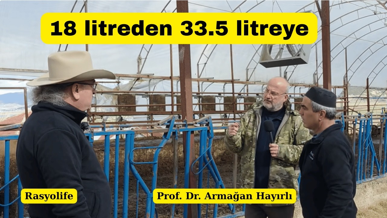 Küçük Çiftlik 18 Litreden 33.5 Litreye Nasıl Çıktı?
