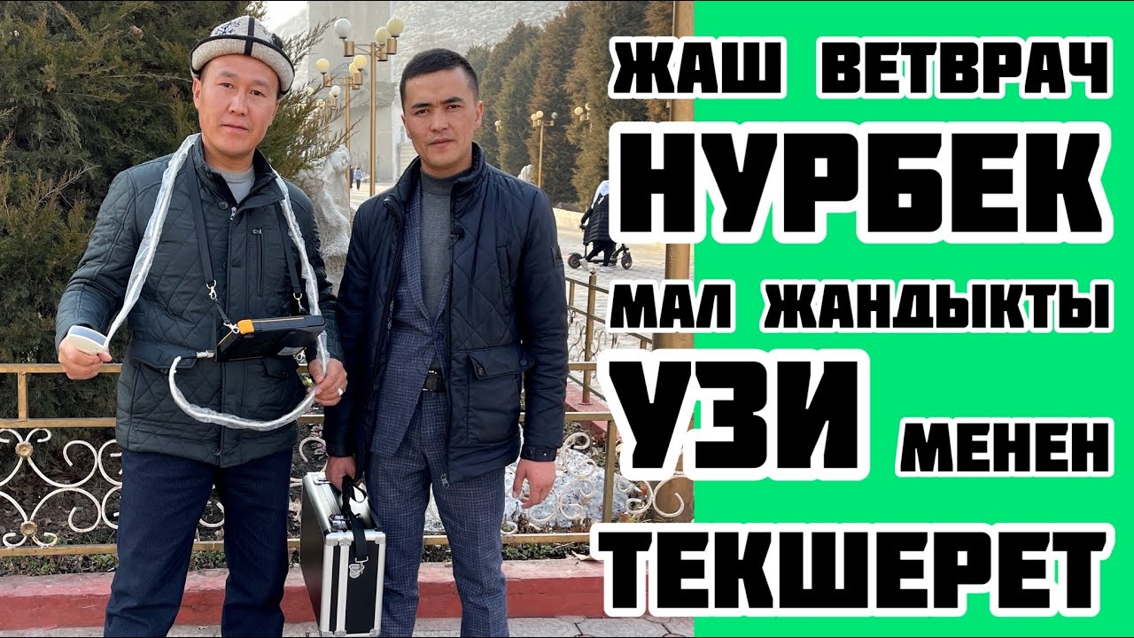 Мал доктор НУРБЕК ӨЗГӨНБАЙ УУЛУ эми МАЛ жандыктарын УЗИ менен ТЕКШЕРЕТ