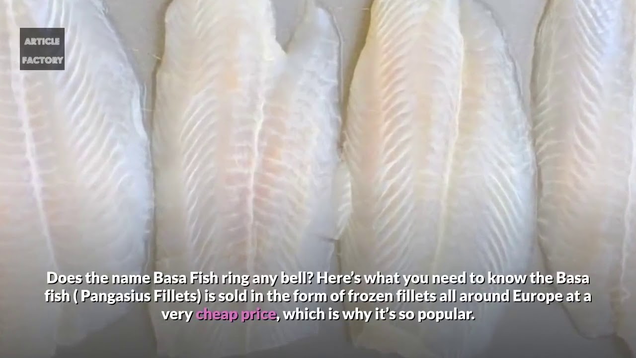 DANGEROUS FISH named 
