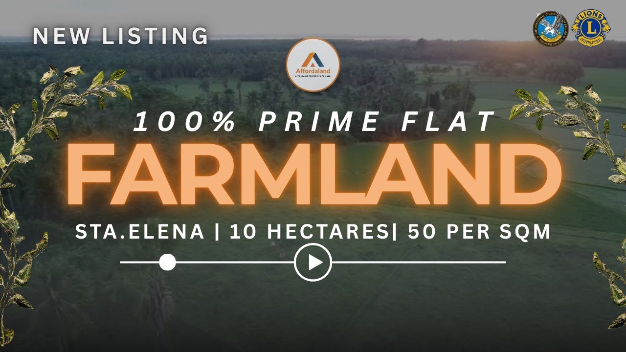 100% PRIME FLAT FARMLAND| 10 HECTARES | 50 PHP PER SQM| STA ELENA#farmforsale #realestate #