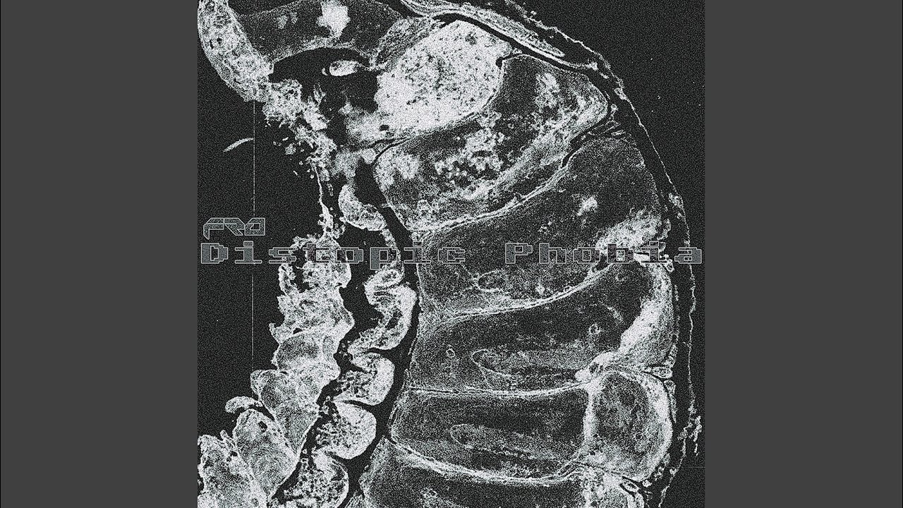 The Night Flower (Saigg Remix)