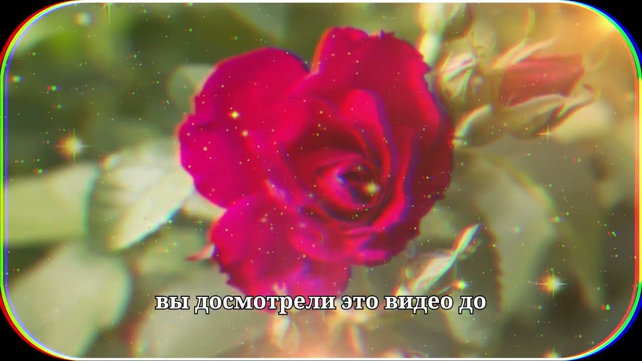 Каждый пожилой человек должен увидеть это, прежде чем станет слишком поздно Мудрость Стоицизма