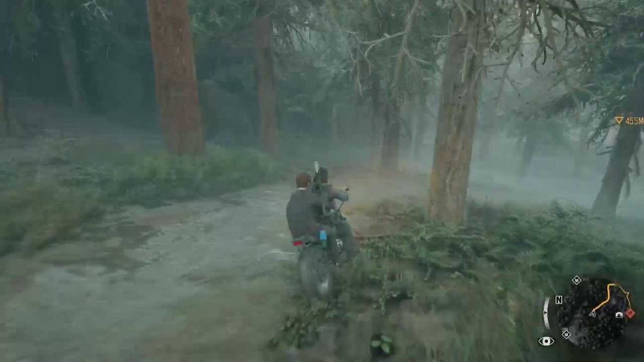 Days Gone