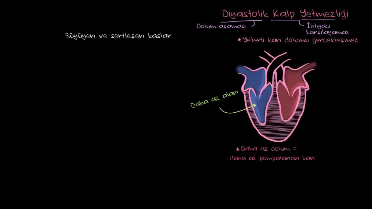 Diyastolik Kalp Yetmezliği Patofizyolojisi (Fen Bilimleri) (Sağlık ve Tıp)