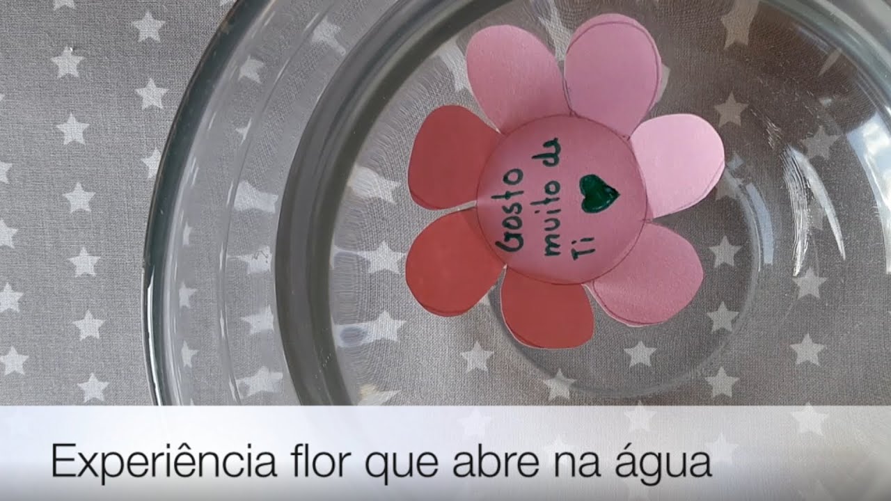 Experiência: Flôr que abre na água!