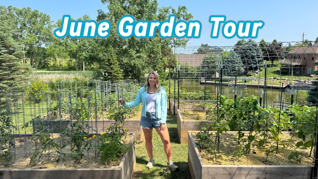 Full Vegetable Garden Tour - June 2025 - Michigan Zone 6a