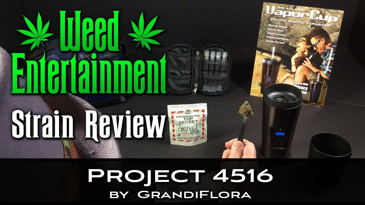 Project 4516 - Hybrid - by GrandiFlora - Strain Review - from Dr Greenthumbs, Sylmar Ca