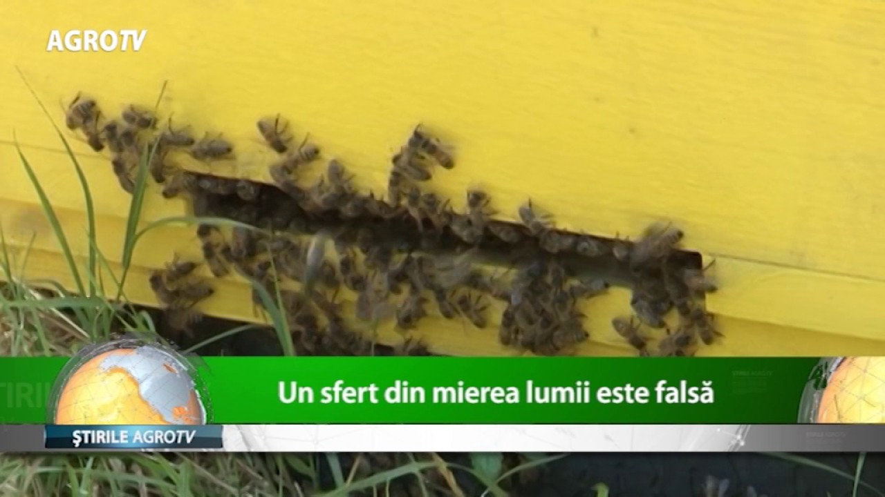 Cum se falsifica mierea