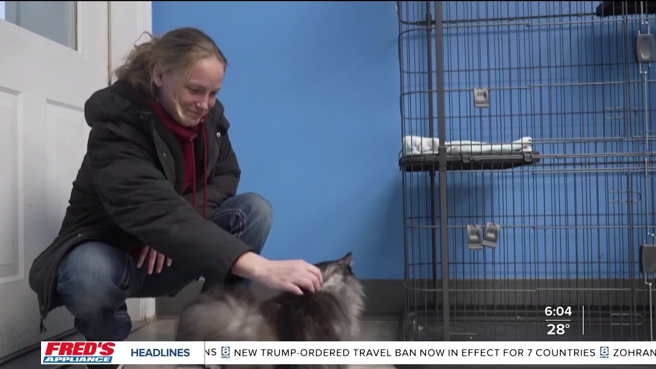 Lake County's only animal shelter fights to stay open amid funding crisis