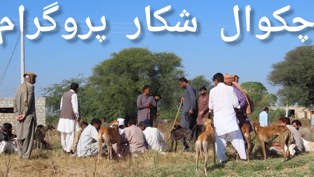 KHARGOSH KA SHIKAR      CHAKWAL PROGRAM 