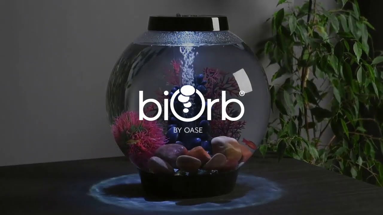 biOrb CLASSIC 15 Aquarium &ndash; 4 Gallons &ndash; Black Stone River Set