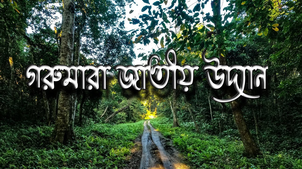 Gorumara National park I Dooars Travel Vlog I Bengali Vlog I Bangla Vlog I Route Meter