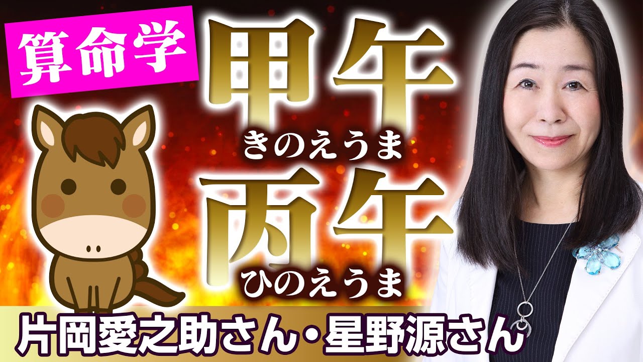 【算命学】甲午（こうぼくのうま）・丙午（へいかのうま）｜六十花甲子・午火編No.15