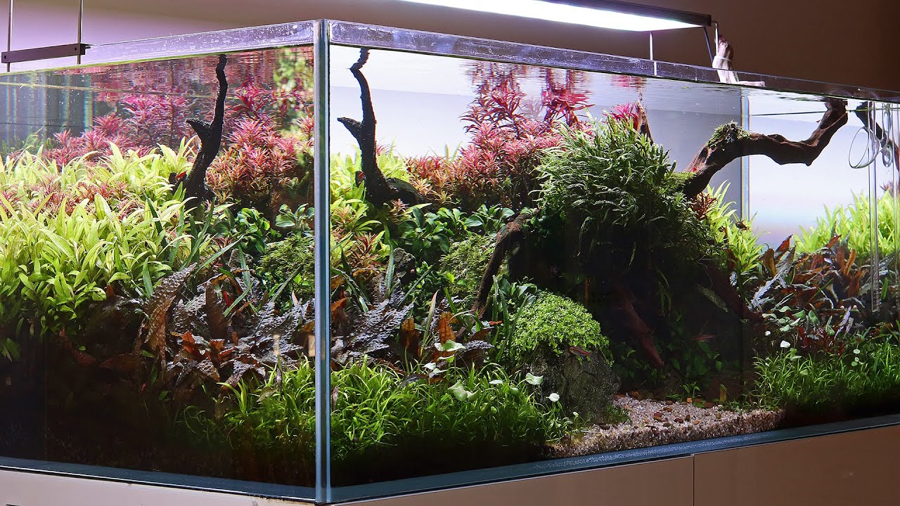 Aquascaper 1200 - The Final Countdown