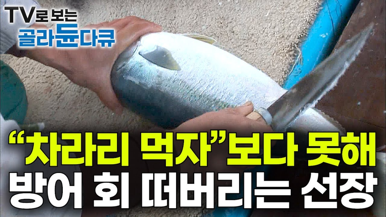 &lsquo;한두 마리도 아니고&rsquo; 뜻밖의 선상 만찬에 입꼬리 올라가는 선원들｜기껏 잡은 값비싼 대방어 갑판 위에서 회로 떠 먹어버리는 이유｜마라도 바다｜만선 방어잡이｜극한직업｜#골라듄다큐