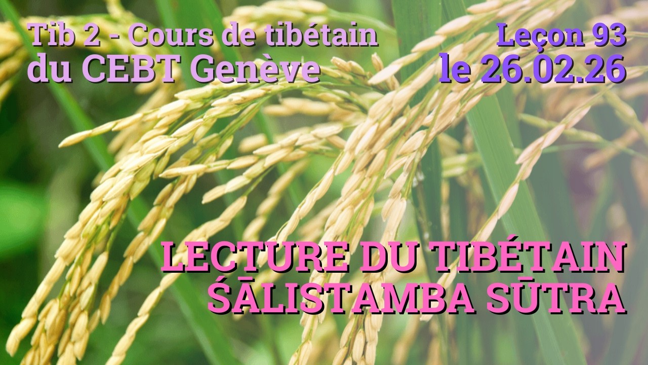 Tib 2 - Cours de tibétain ”pousse de riz” -  leçon 93, le 26.02.26