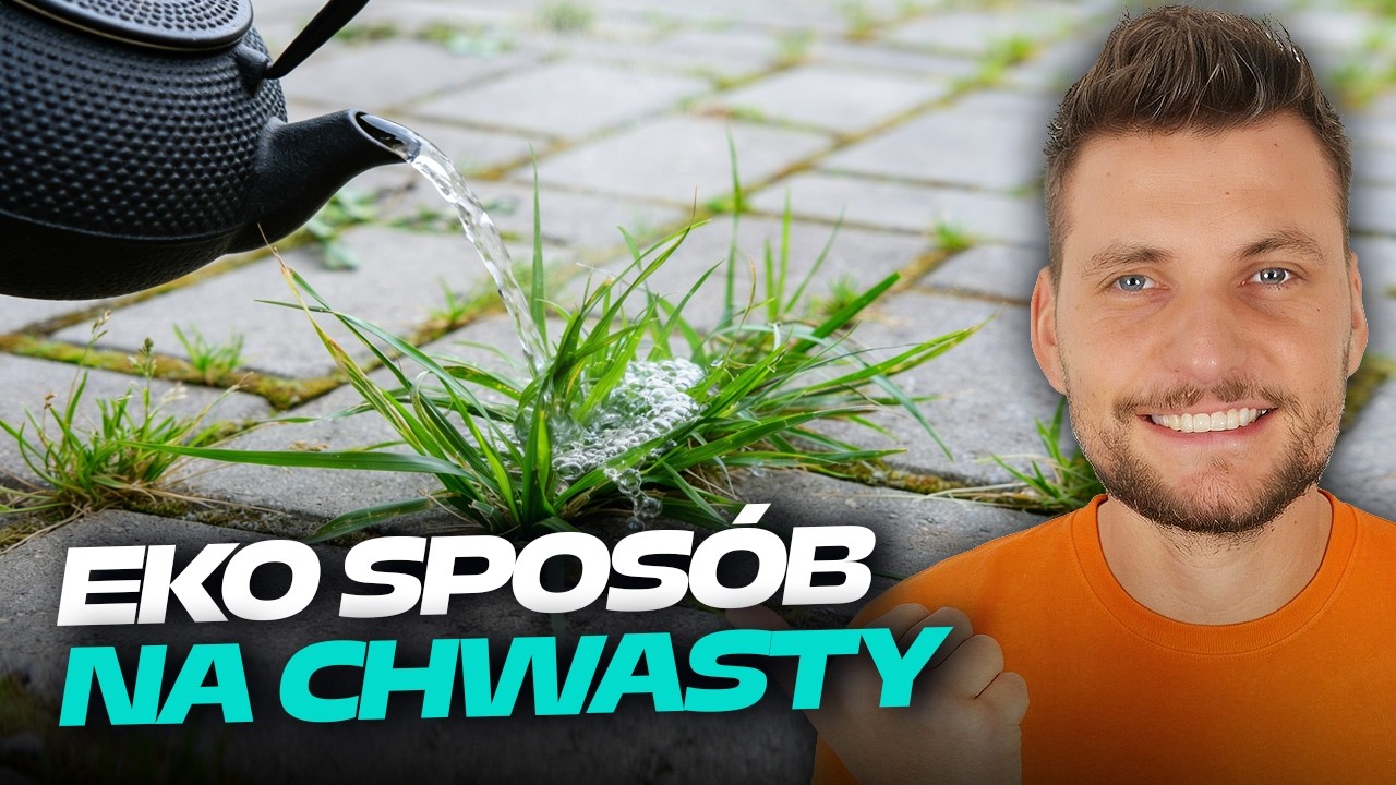 Jak usunąć chwasty i mech na kostce brukowej? Metoda wrzącej wody- DOMINIKMALUJE
