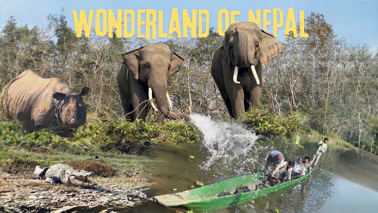 Canoeing 🛶 at Chitwan, Nepal | Jungle walking | Encounter with Wild Animals | Magical mushrooms 🍄