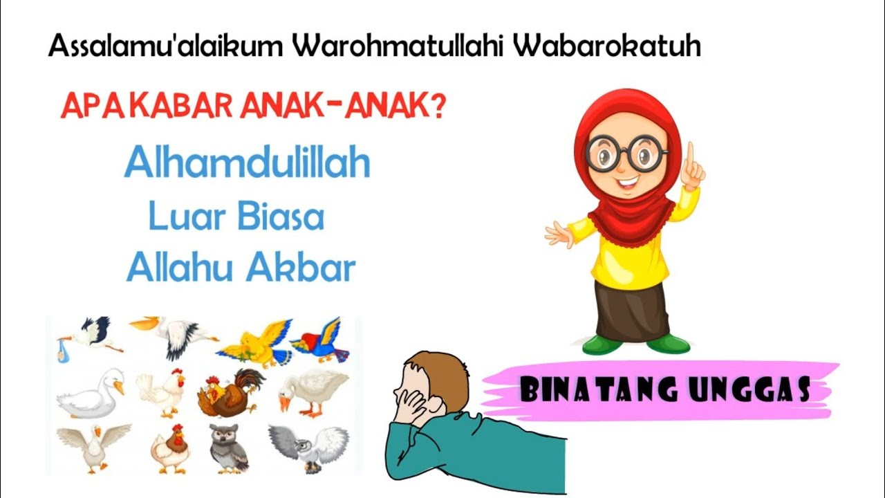 Video Pembelajaran Tema Binatang Subtema Binatang Unggas TK/RA/PAUD | Mengenal Binatang Unggas
