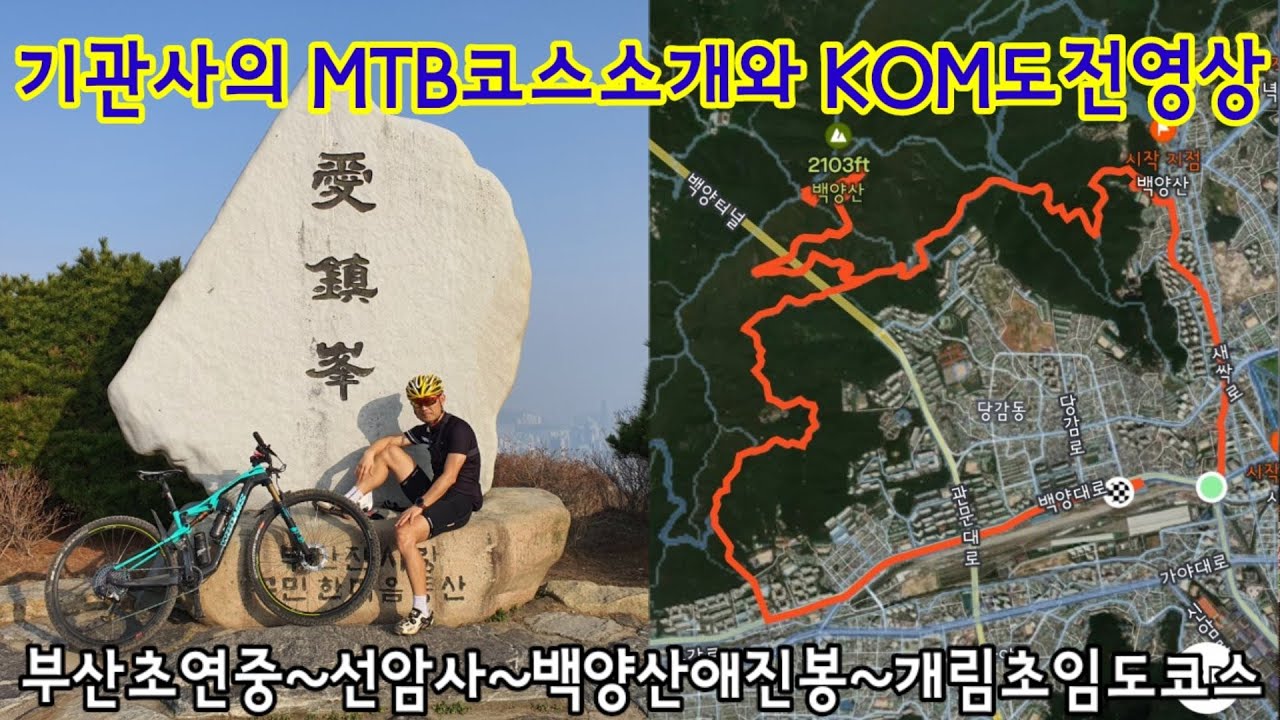 기관사의 MTB코스소개와 KOM도전영상 부산초연중~선암사~백양산애진봉~개림초등학교임도풀영상 #MTB #애진봉