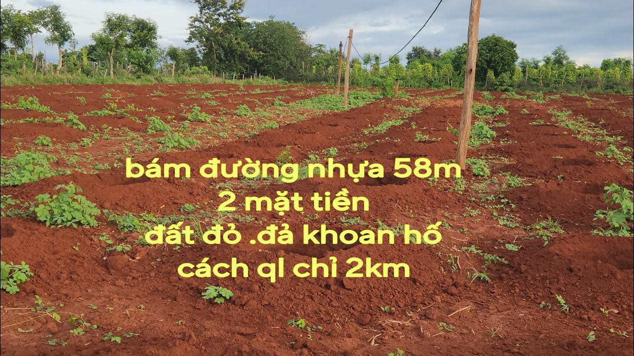2 mặt tiền .58m mặt tiền nhựa .đất đỏ 3zan.điên nươc đầy đủ.cách QL 2km