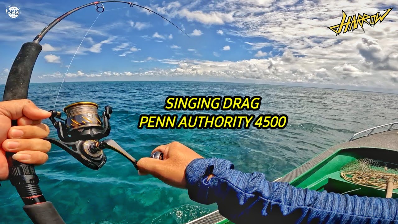 TOP WATER Popper 50gr‼️EXPLOSION BIG FISH || LIGHT POPPING Joran HARROW HUNTER OFFSHORE CAST 2-4