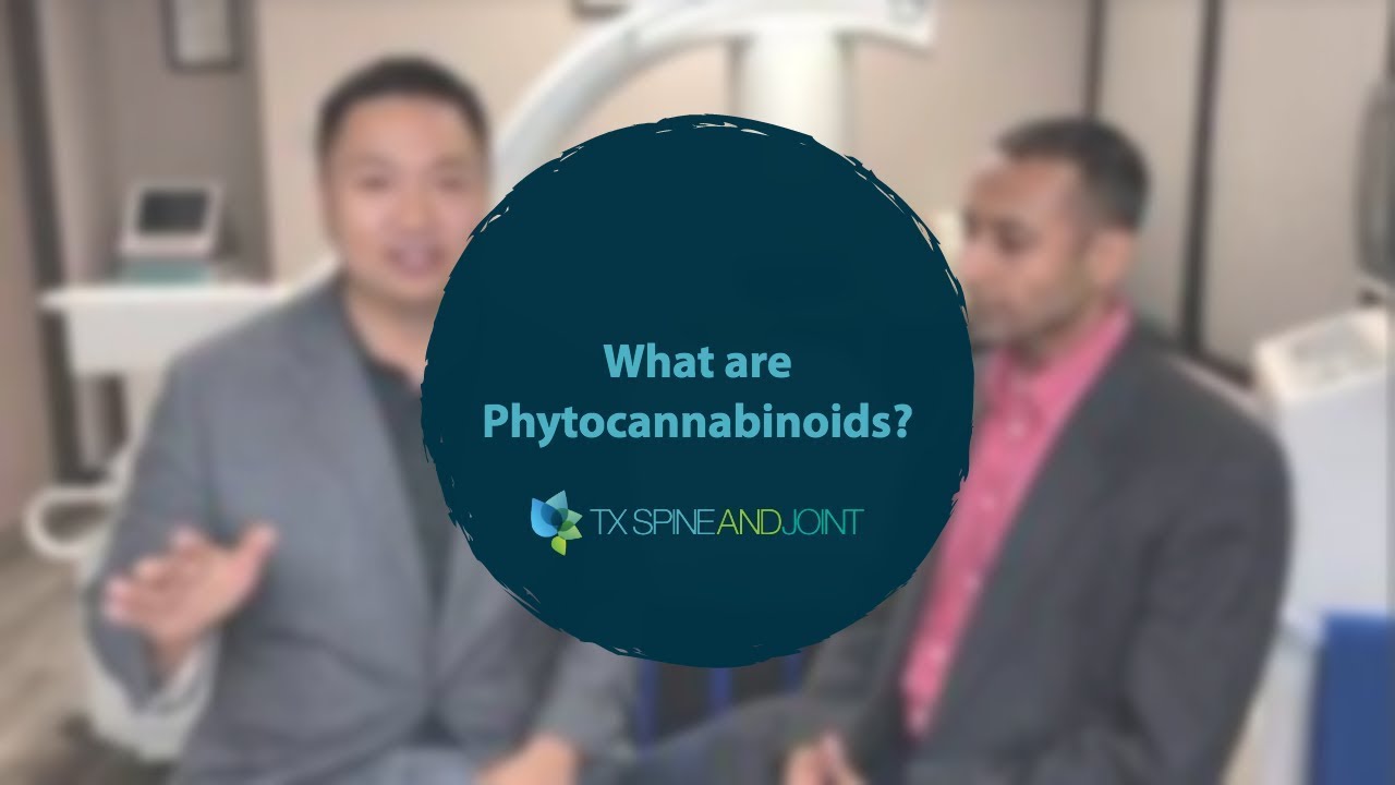 What are Phytocannabinoids?