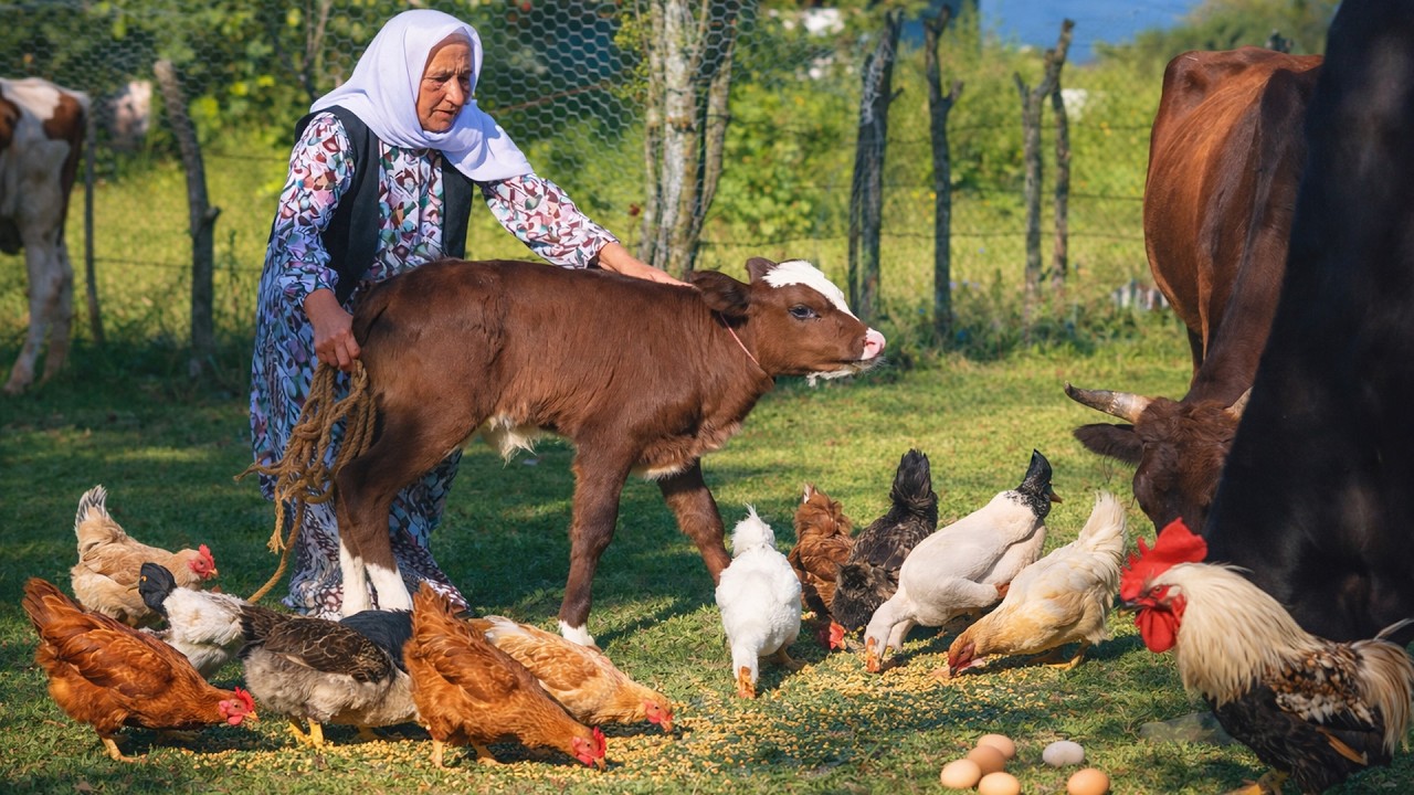Is This the Most Peaceful Village Life You’ve Ever Seen? 🌿🏡