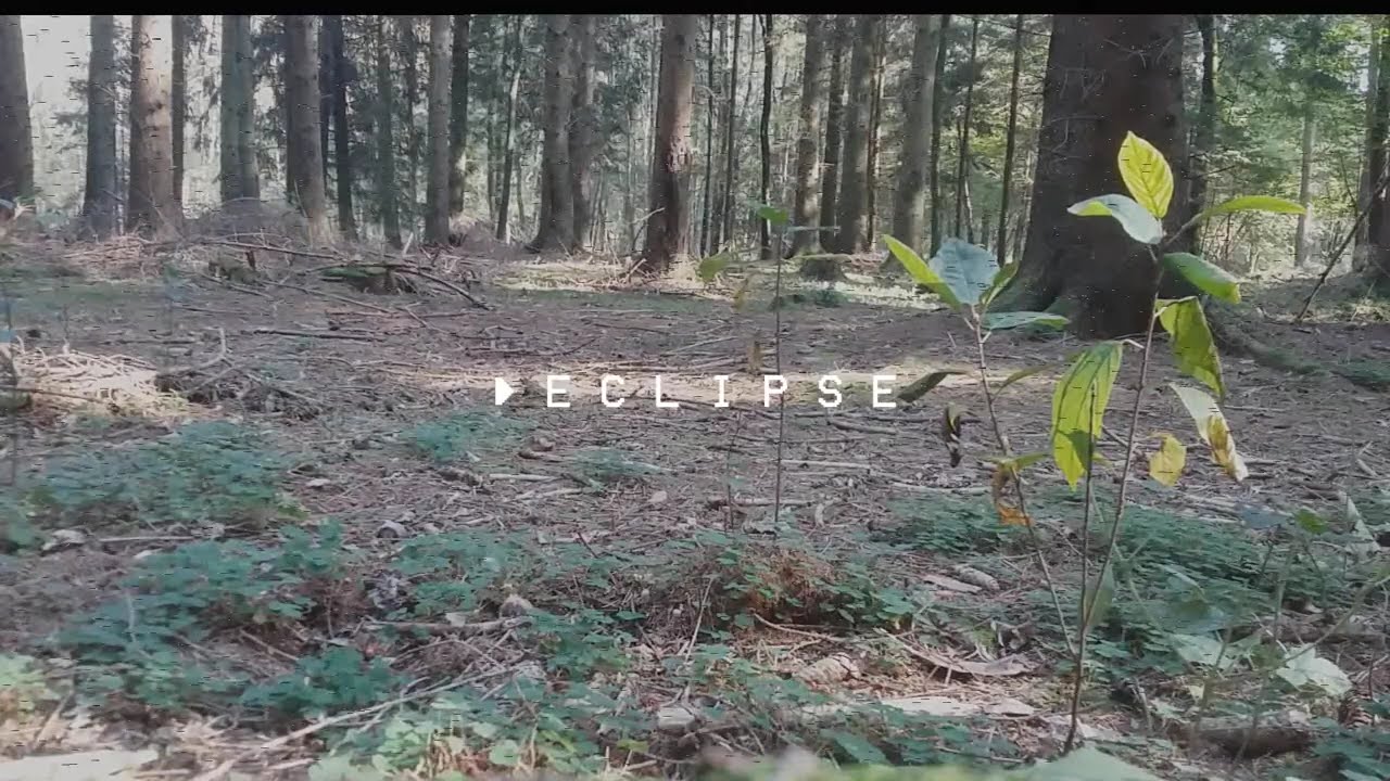 MatFly x Hazy Hype - Eclipse