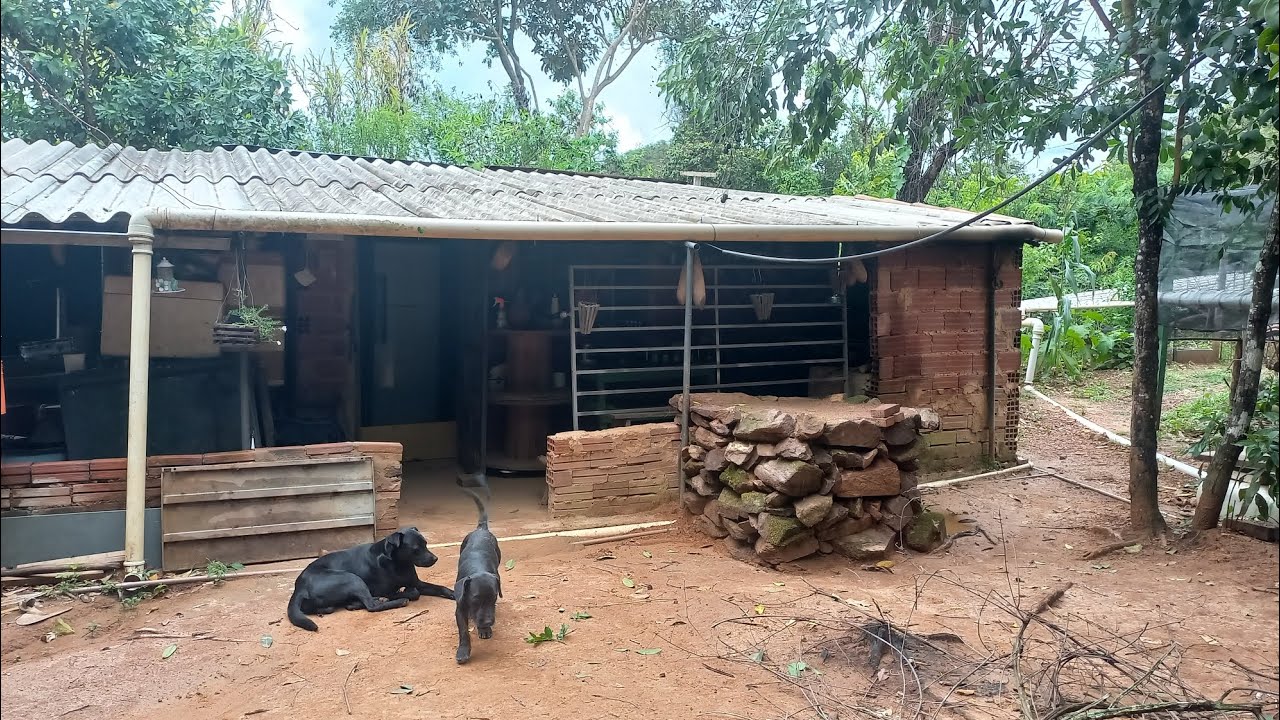 DEPOIS DA TEMPESTADE, VEM A BONANÇA 