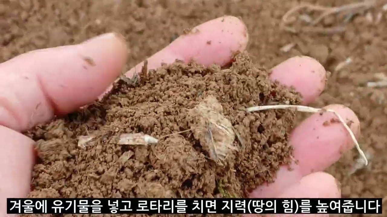 흙, 겨울에 숨을 쉬게 하는 이유 ㅣ농사는 버릴것이 하나도 없다