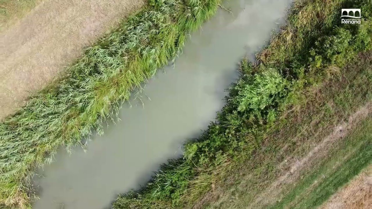 Sfalcio sperimentale: tra sicurezza idraulica e tutela della biodiversità!