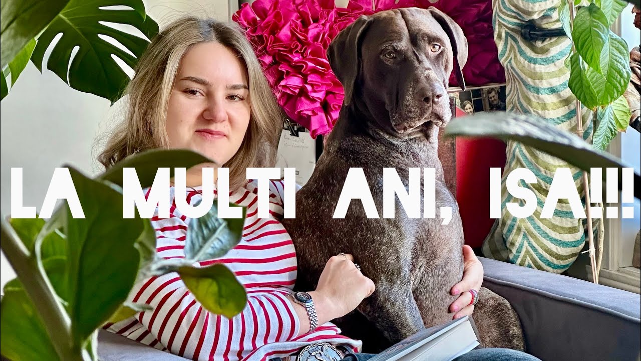 Vlog săptămânal de iarnă geroasă | Ziua Isei, cadouri, vizite | Haul de mult prea multe brânzeturi