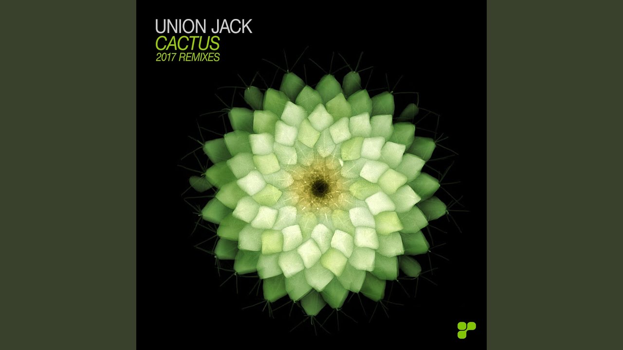 Cactus (OOOD Remix)