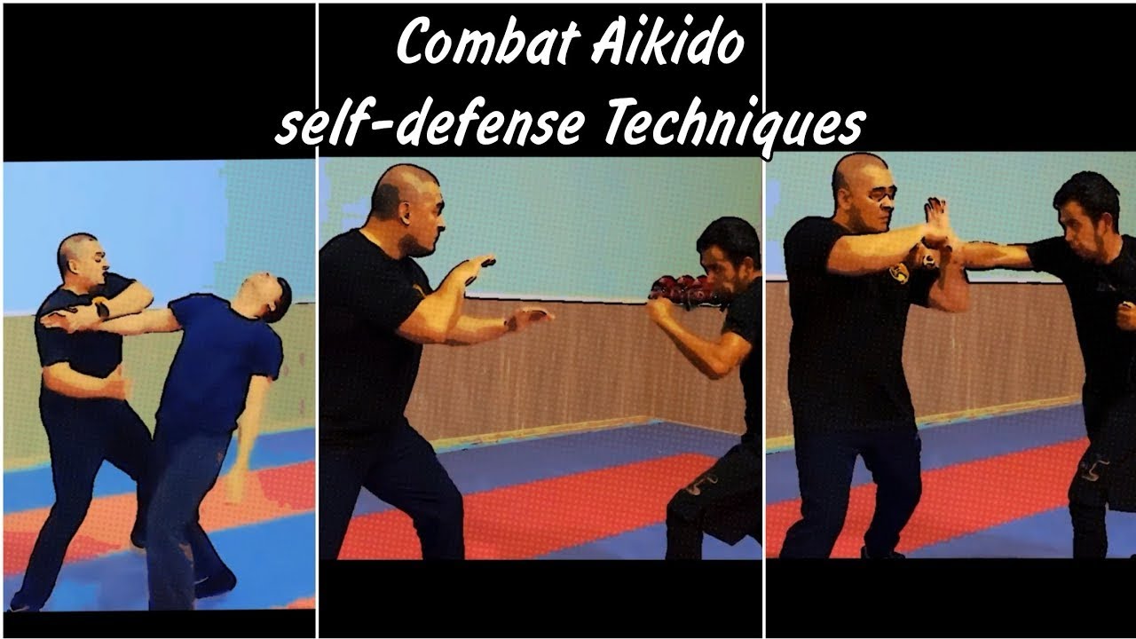 Combat Aikido Self-Defense Techniques Martial Arts Instruction