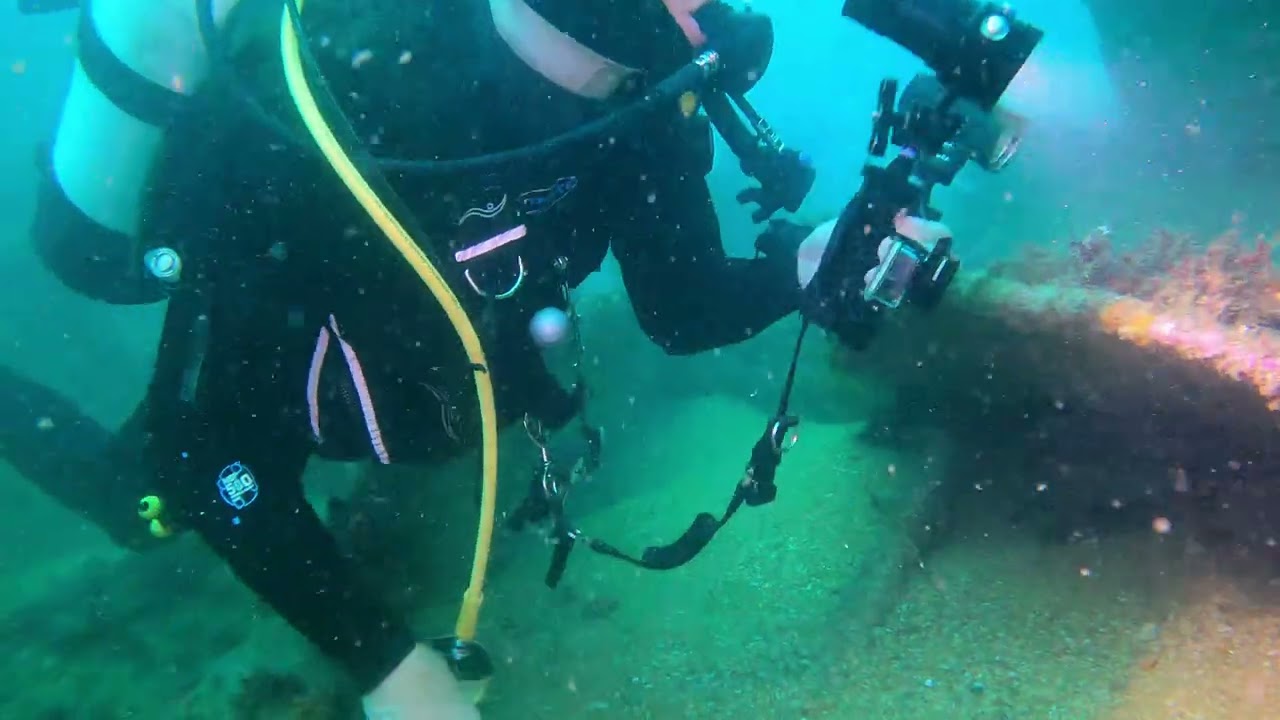 Diving Black Hawk, Worbarrow Bay, Dorset 15 September 2024