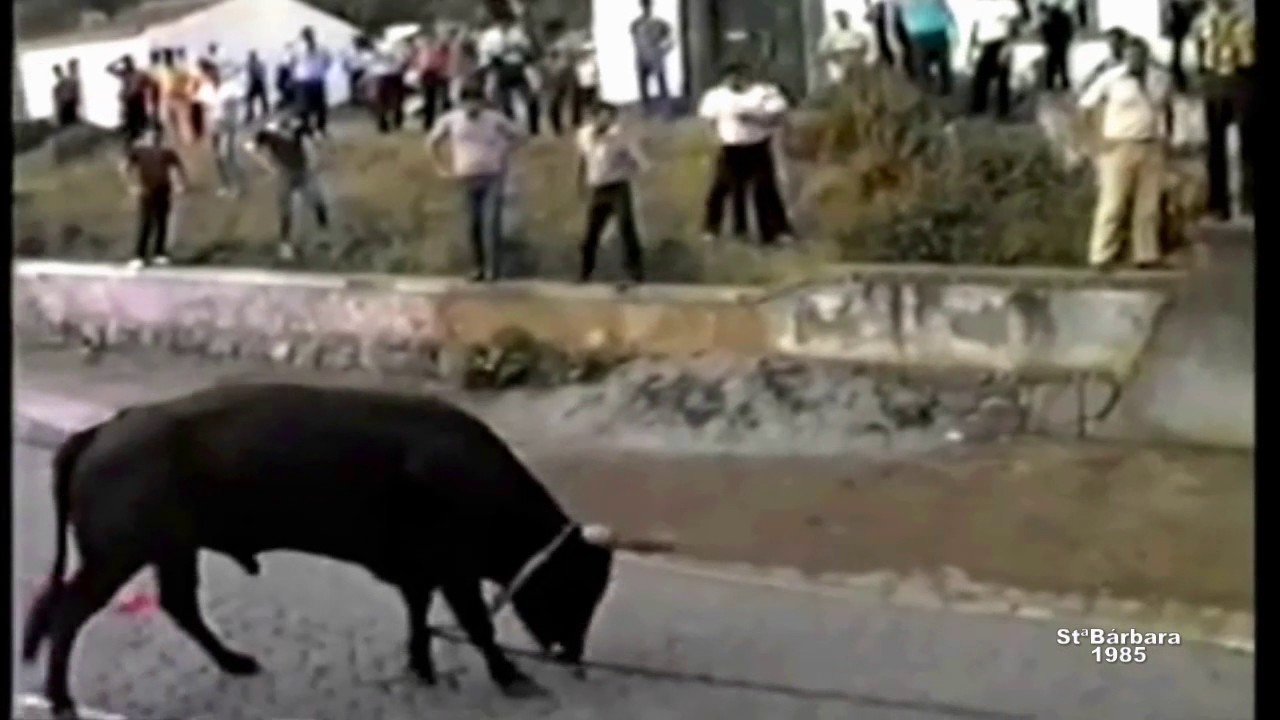 Tourada Festas StºAntónio StªBárbara 1985