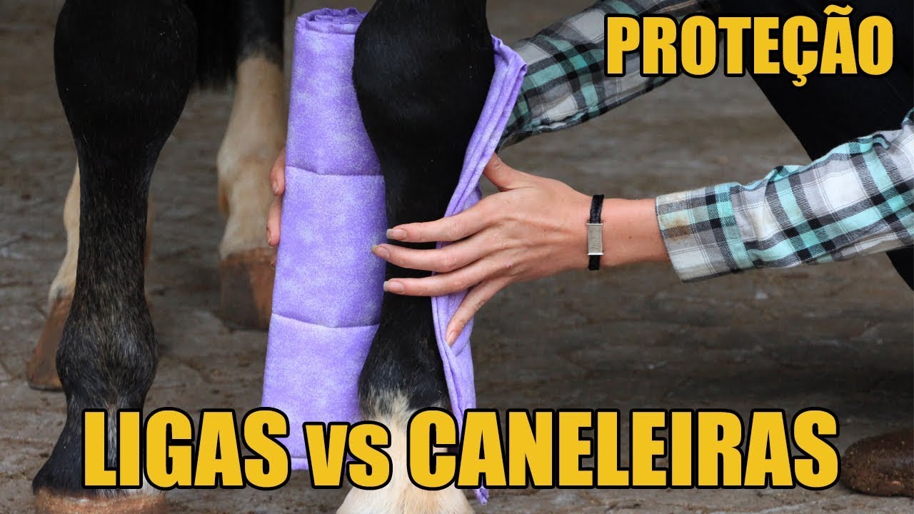 LIGAS vs CANELEIRAS - Qual a Diferença ?
