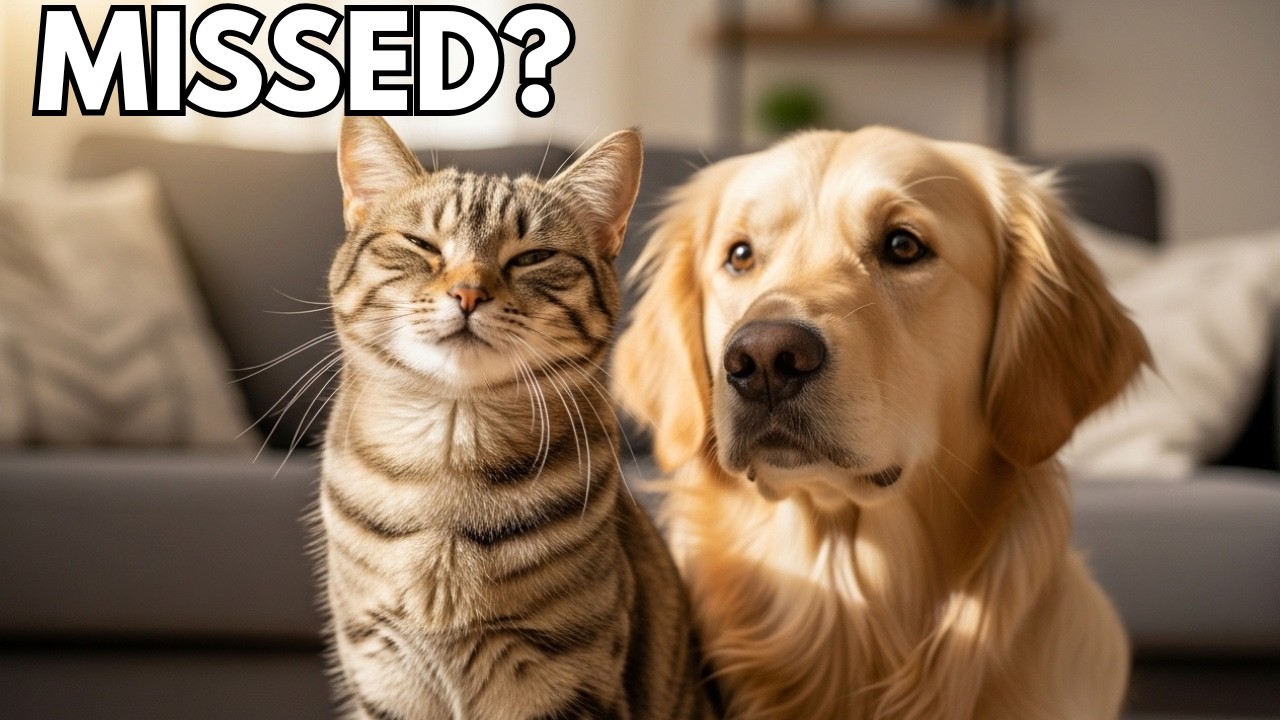 13 Signs Your Golden Retriever and Cat Are Leading a Truly Happy Life Together (Most Owners Miss)