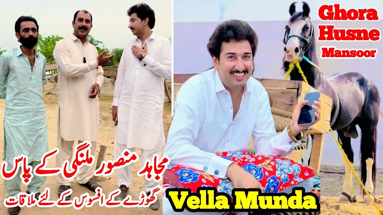 Ghora Husne Mansoor Ka Afsoos 😭 | Vella Munda | Mujahid Mansoor Mlangi Ka Shoq