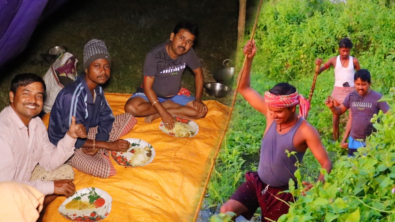 রাতের অন্ধকারে পুকুরপাড়ে ক্যাম্প করে মাছ ধরে পিকনিক করা | Night fishing video | village cooking vlog