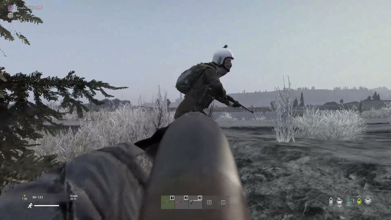 Dayz Highlights #5