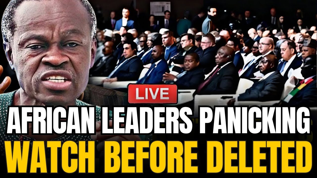 The Painful TRUTH About Africa No One Dares to Say - PLO Lumumba Drops A Powerful Speech