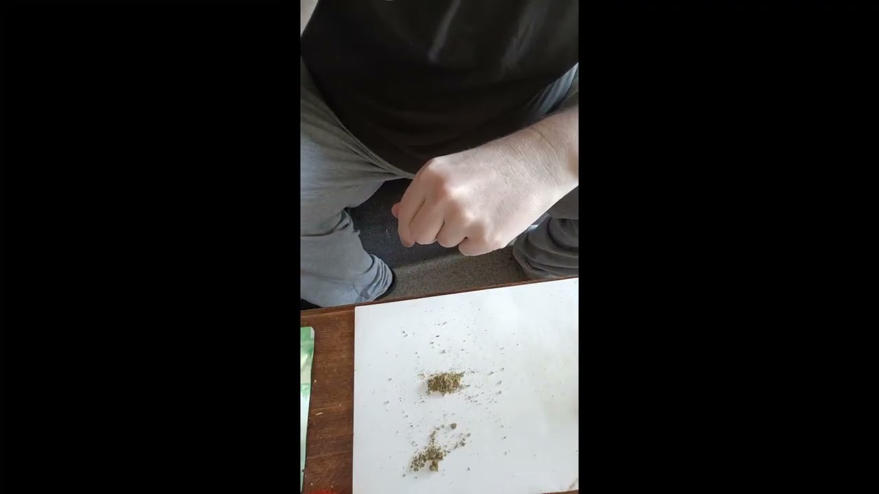 G13 Haze CBD Monkey  0,2% thc