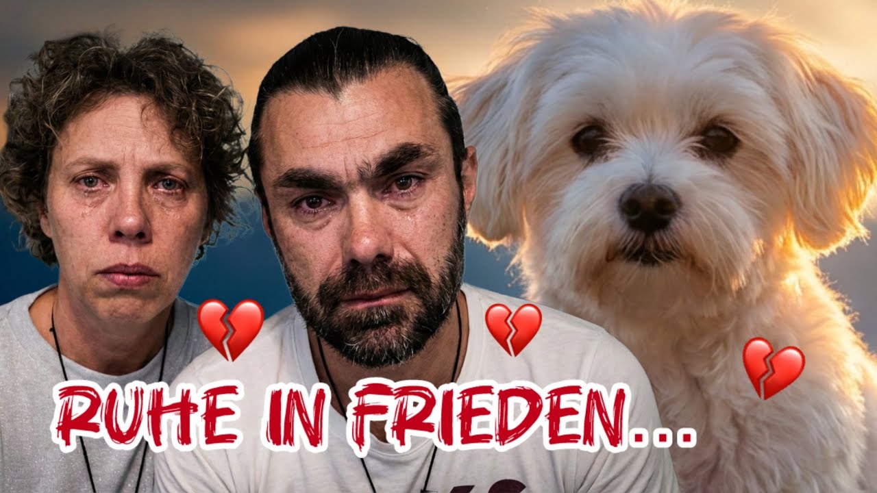 😭Unsere Maja ist gestorben…🐾
