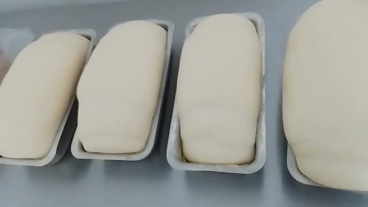 Quase na de levar pra assar 🍞🍞🍞🍞