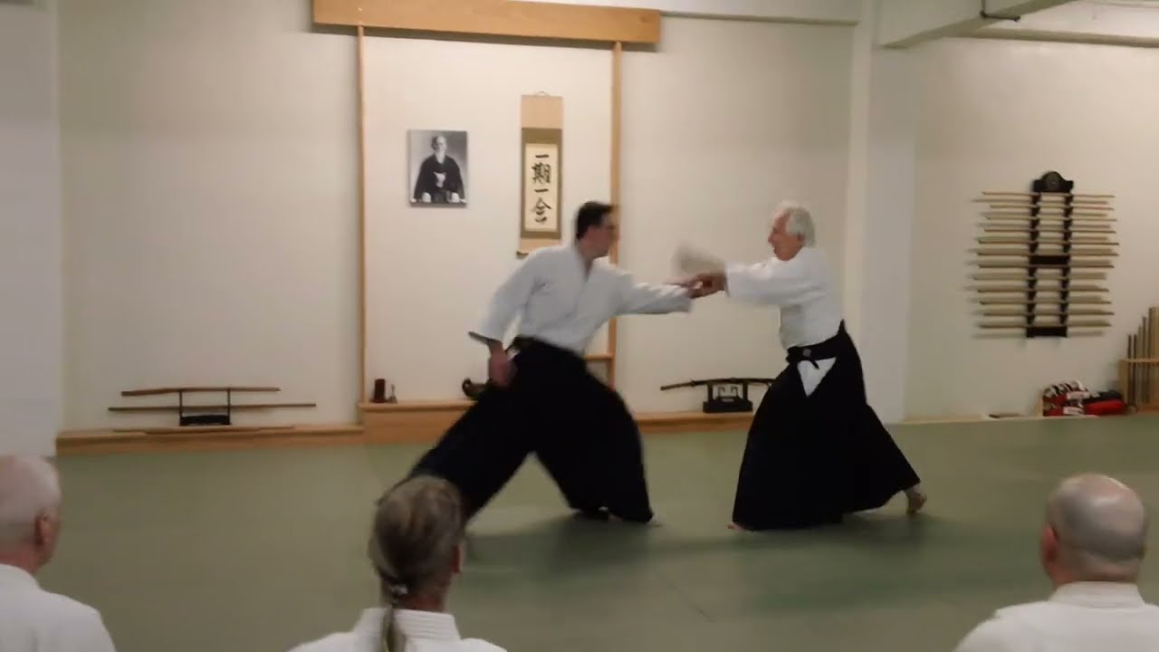 David Halprin Shihan - katate-tori gyaku-hanmi shiho-nage