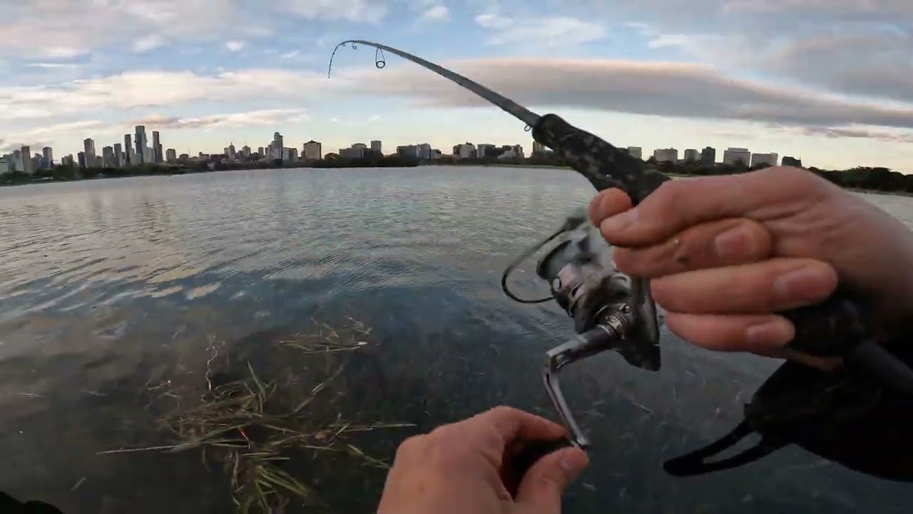 Albert Lake Trout Fishing insane day