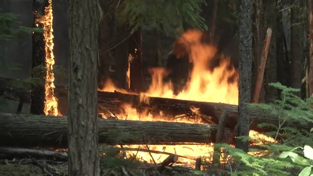 Soldiers Help Suppress Fires