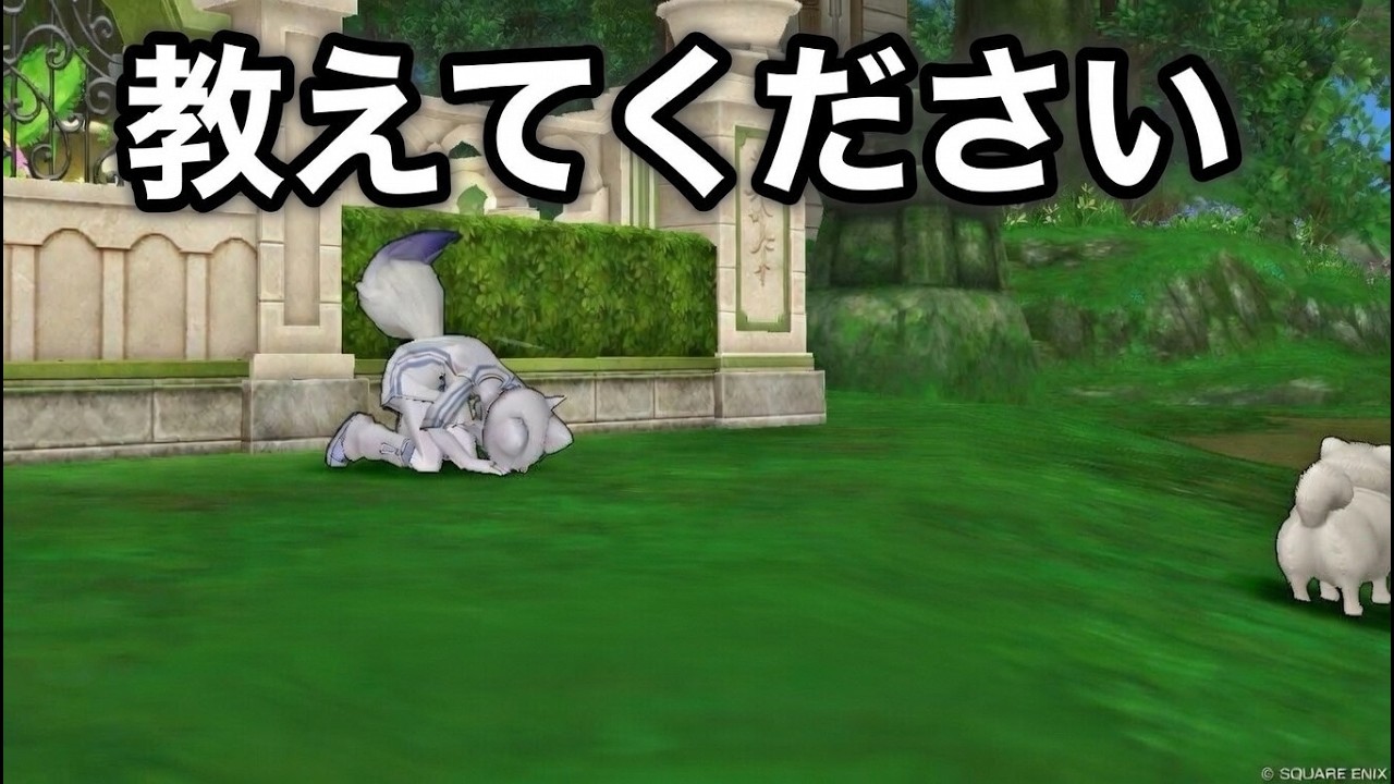 DQX　ｾﾞﾛから始めるコロシアム生活７日目